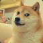 TWO DOG