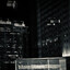 LYYT // D4RC ヅ