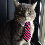 Rillen - steam id 76561199011568305