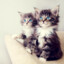 [AW] Topiccc#MRAZRUST