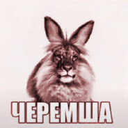 Черемша