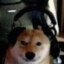 TSUNAMAYOH