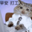ニルチェは95の神です