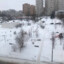 гарнир