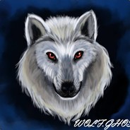 🐺Wolf_Ghost🐺