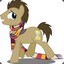 Doctor Whooves