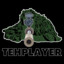 TehPlayer ︻デ 一一