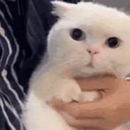 我要露出小马jio