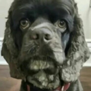 滴酒未沾弗兰克