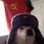 Perro Sovietico