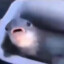 GamerSmores10