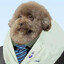 Avatar of player EBY4IY