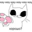 #КОТЫРУЛЯТ