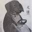 狗