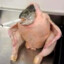 El_Honker