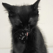 Андрей Суржиков