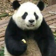 富土康终极导师张全蛋