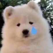 派大星我们去抓水母吧