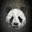 pixiu_pols