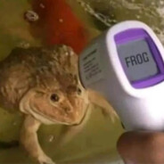 🐸IT's a frOg🐸