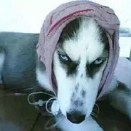 你看我头像牛逼不