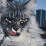 派总派的侦察兵