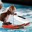 Skiing Squirrel