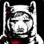 FinnTheHuman