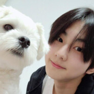 薄巧小猫饭团—