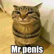 Mr Penis