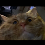 人民的三年一班张伟妈