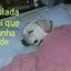 moacir_cudepato