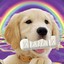 Doggo