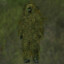Crazy Forester