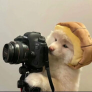 两个开子等等封号吧