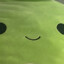 Pallio