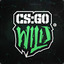 Mika | CSGOWild.com