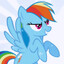 Rainbow Dash