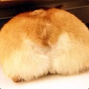 小孩子不懂事，射着玩的