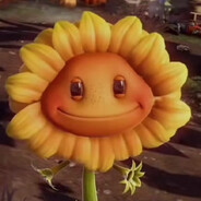 зернадцать