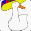 Mexican Duck