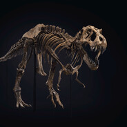 Skeleton Rex