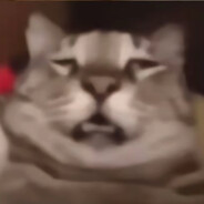 她的比赛进不去