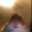 Mooncreeper007