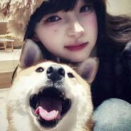 企企企企有此理