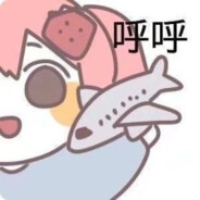 小飞机呼呼呼