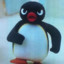 pingu