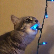 thesamestr3t - steam id 76561199775521409