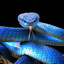 FaZe Python