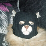 AA 我不懂中文 AA